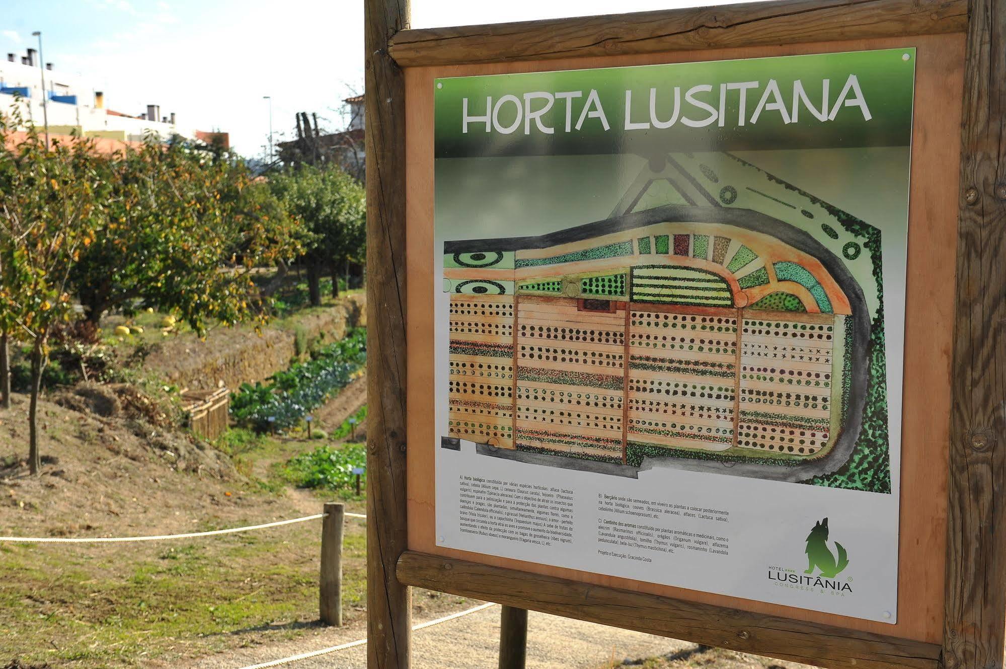 Hotel Lusitania Congress & Spa Guarda Bagian luar foto
